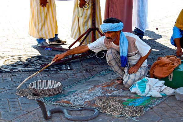 marrakech-encantador-serpientes